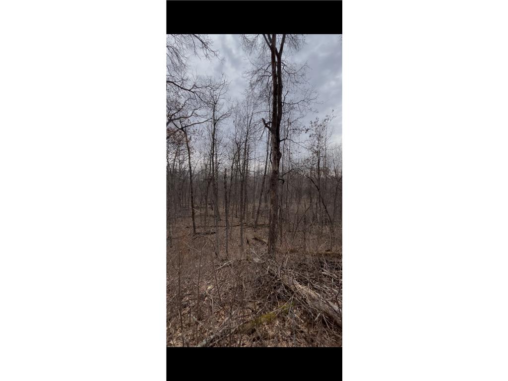 TBD Big Pine Trail Crosslake MN 56442 7044961 image2