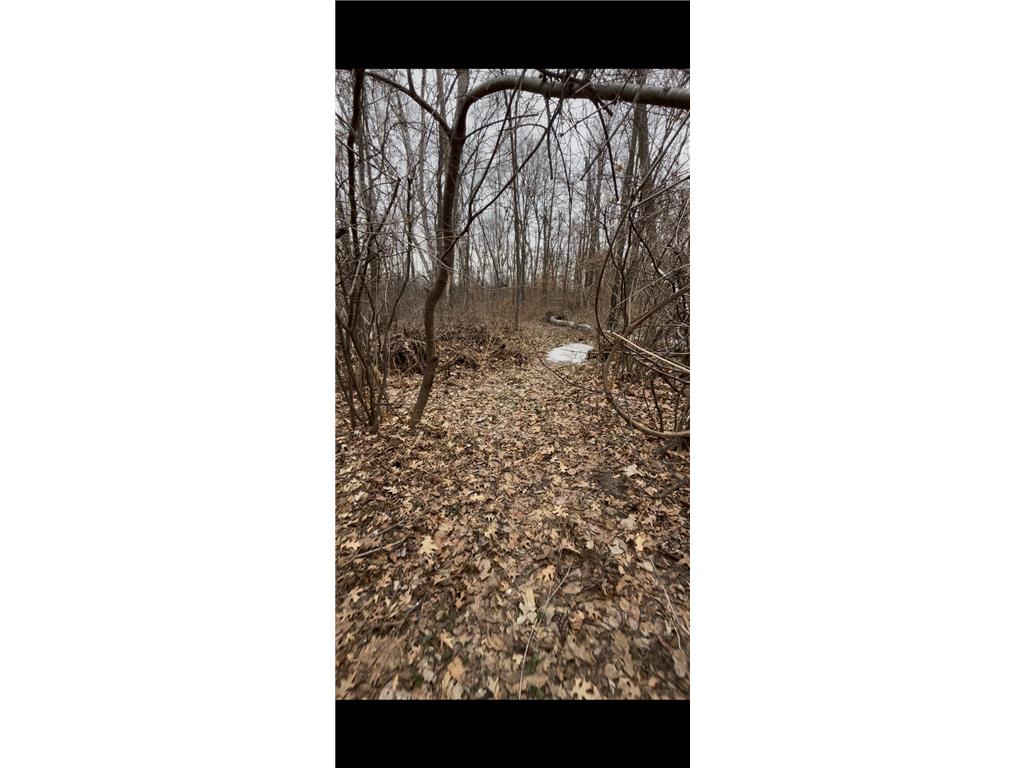 TBD Big Pine Trail Crosslake MN 56442 7044961 image4