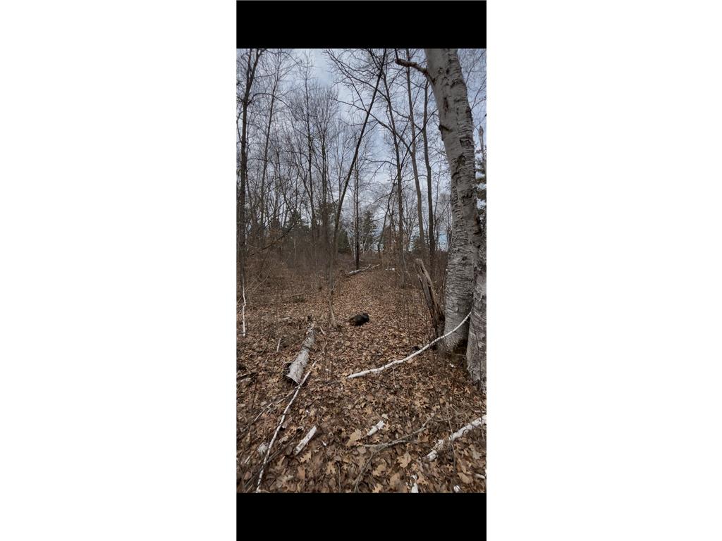 TBD Big Pine Trail Crosslake MN 56442 7044961 image6