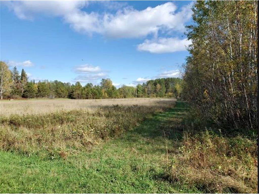 TBD Billy Creek Road, Big Falls, MN 56627 MLS 6189490 Edina Realty