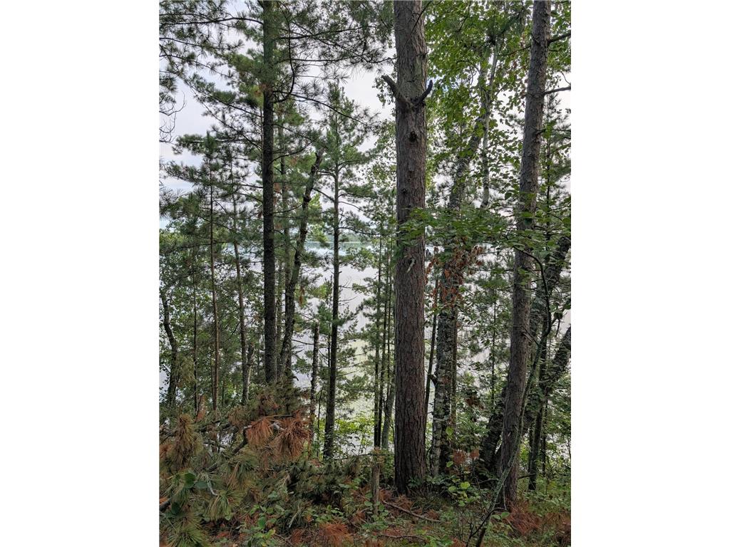 TBD Birch Run Lane Frohn Twp MN 56601 - Wolf 6774889 image1