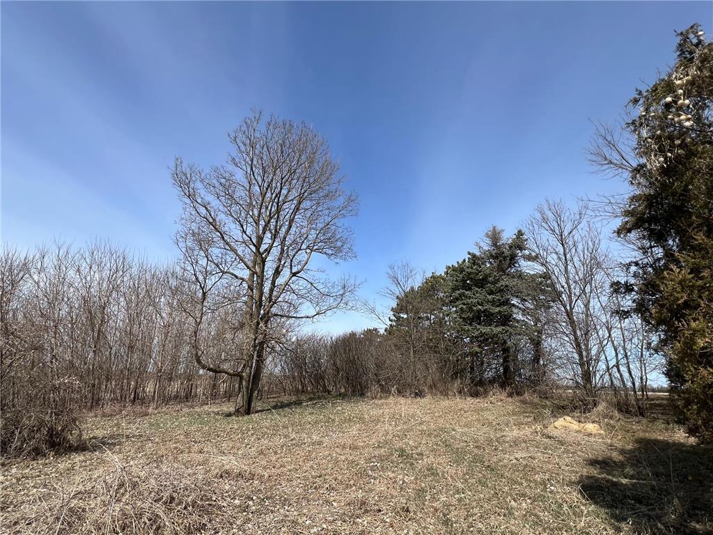TBD Biscayne Avenue Castle Rock Twp MN 55024 - Vermillion River 7050643 image5