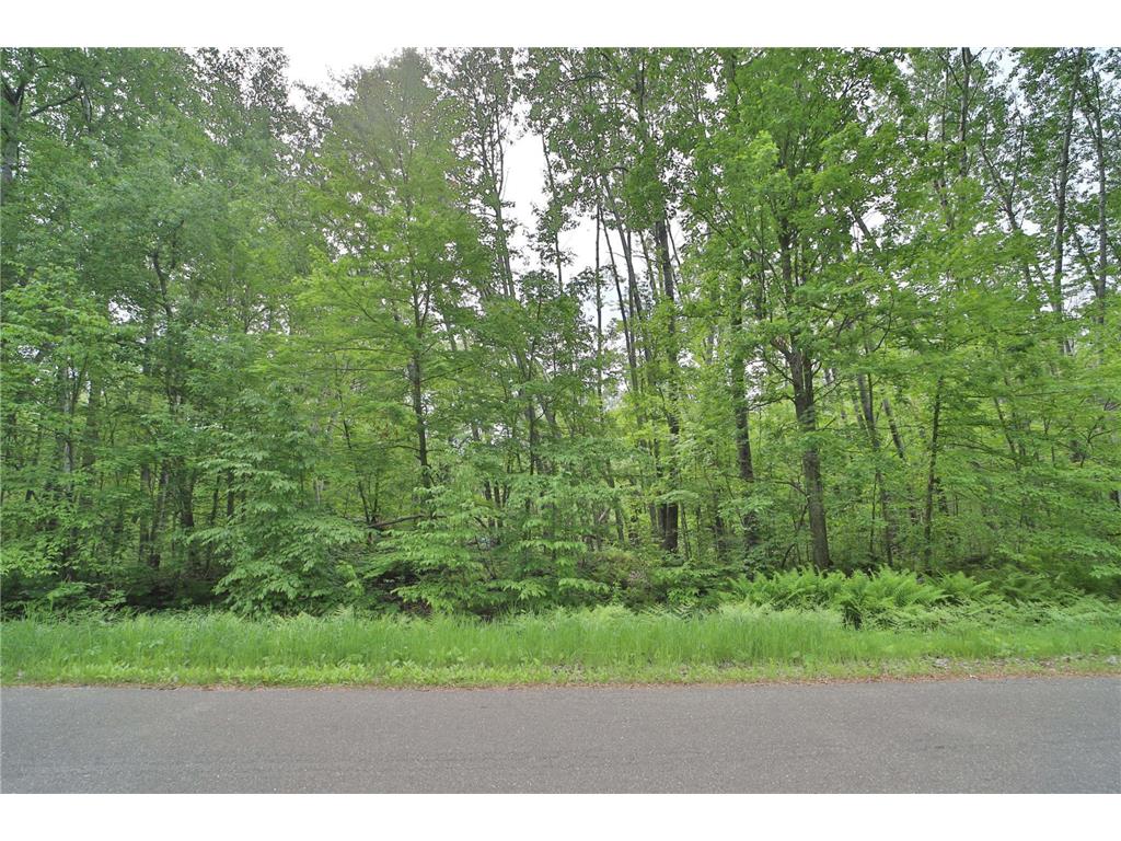 TBD Blue Lane E Emily MN 56447 6734447 image1