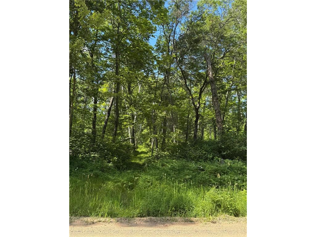 TBD Blue Ridge Drive Breezy Point MN 56472 6741492 image1