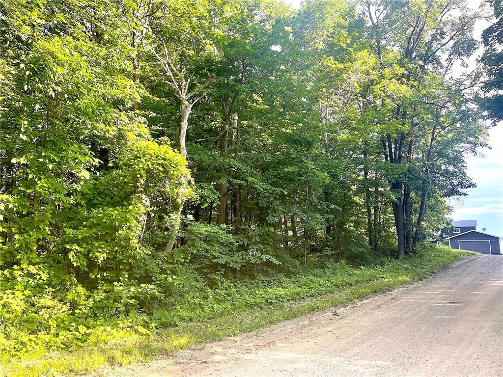 TBD Blue Water Beach Road Walker MN 56484 6743678 image11