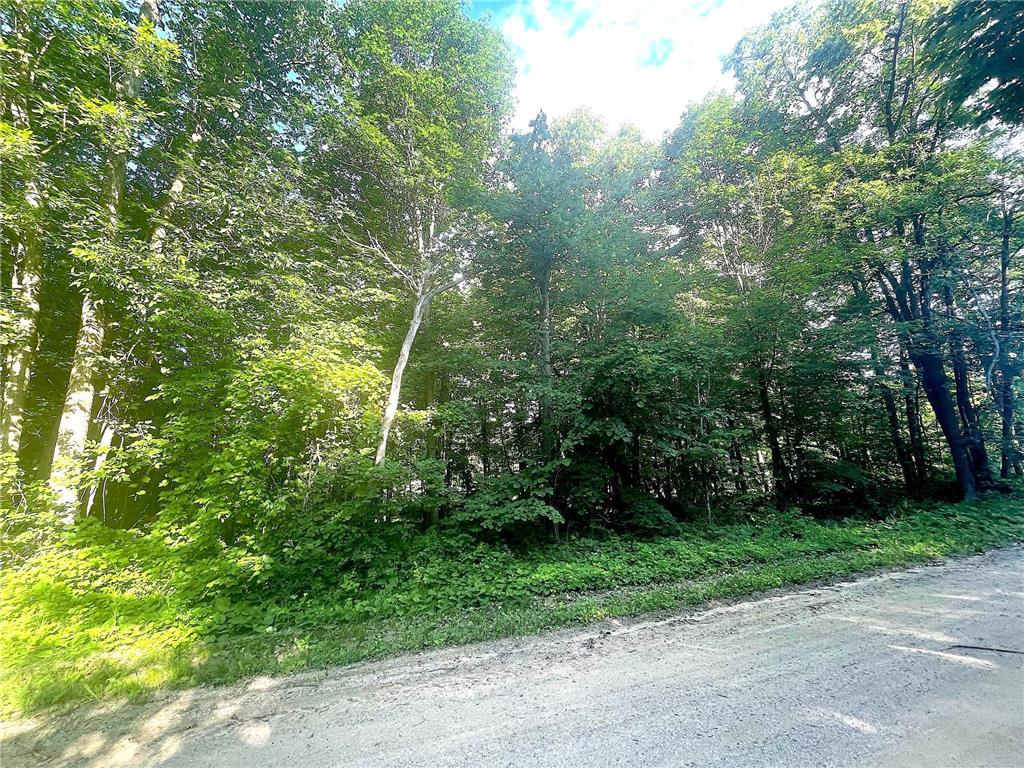 TBD Blue Water Beach Road Walker MN 56484 6743678 image12