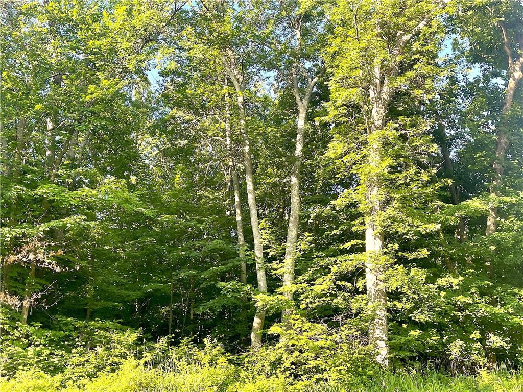 TBD Blue Water Beach Road Walker MN 56484 6743678 image13