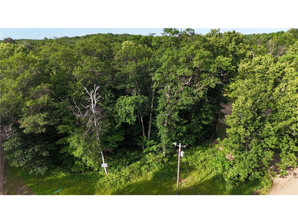 TBD Blue Water Beach Road Walker MN 56484 6743678 image17