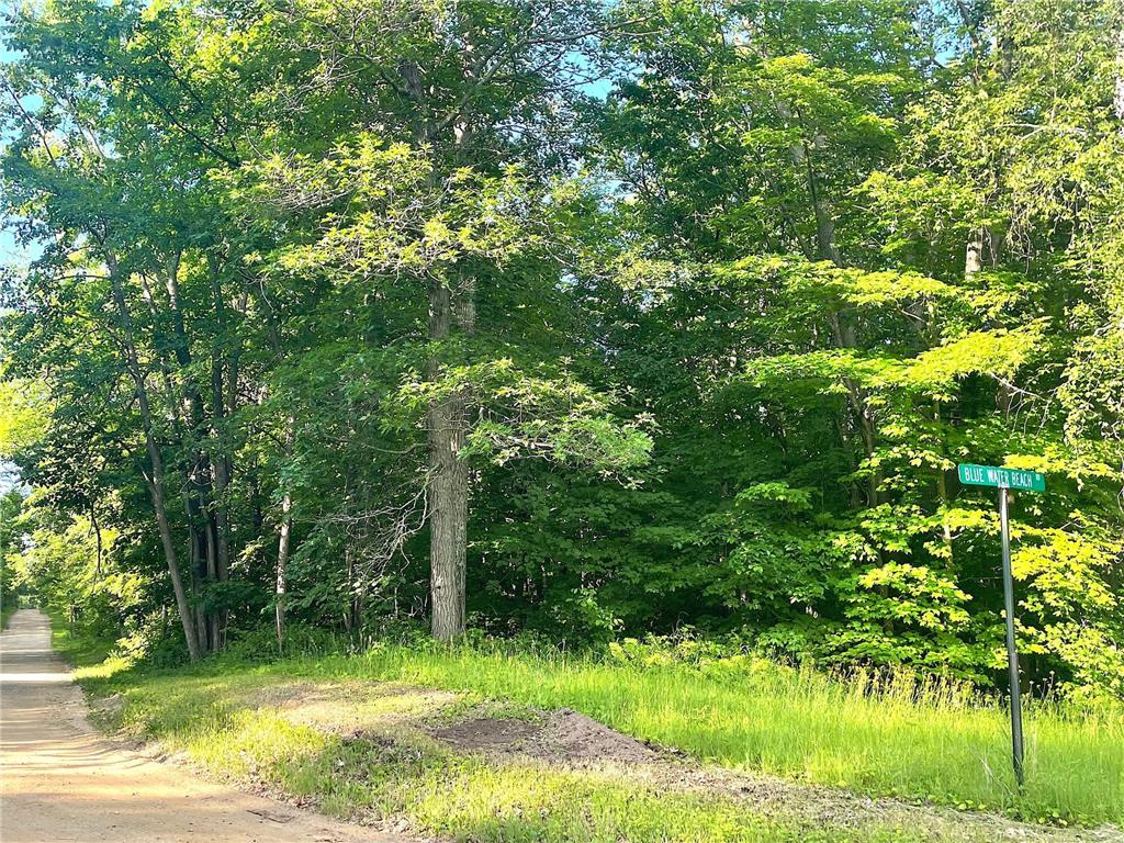 TBD Blue Water Beach Road Walker MN 56484 6743678 image4