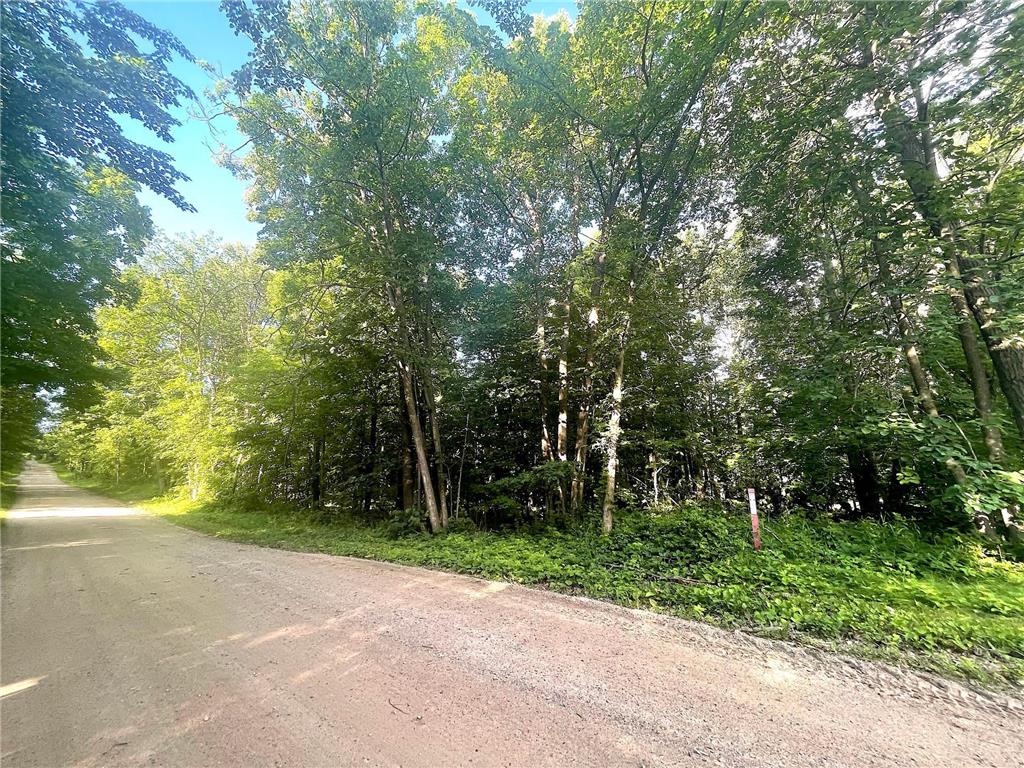 TBD Blue Water Beach Road Walker MN 56484 6743678 image6