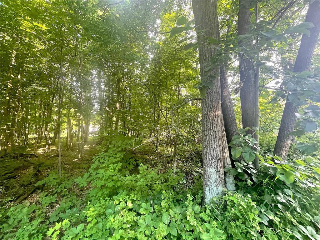 TBD Blue Water Beach Road Walker MN 56484 6743678 image8