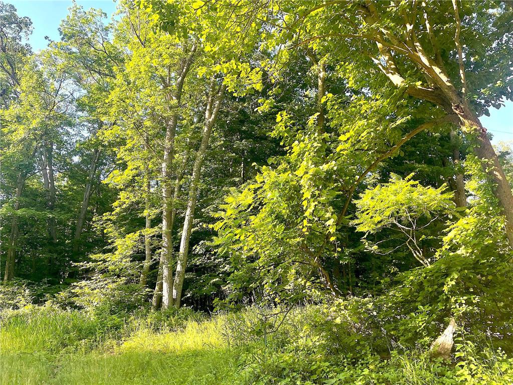 TBD Blue Water Beach Road Walker MN 56484 6743678 image9