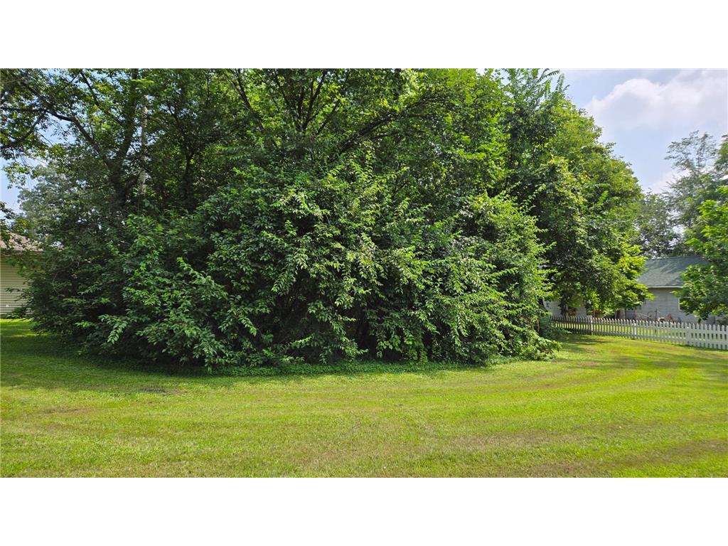 TBD Bluff Street Clearwater MN 55320 6760753 image1