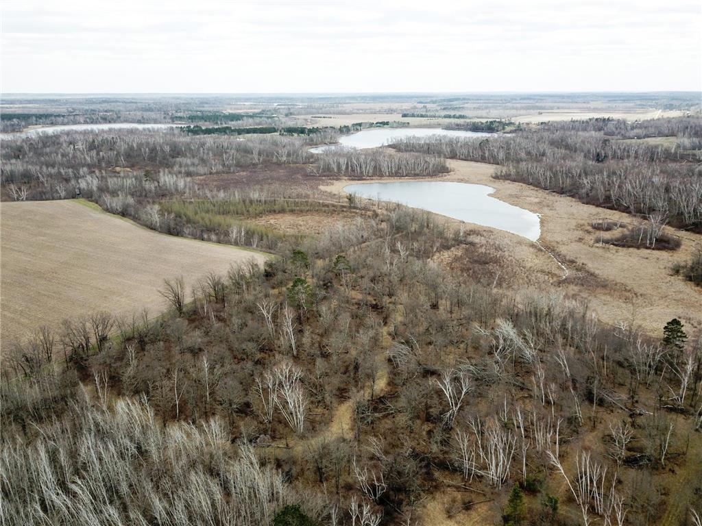 TBD Boot Lake Rd SW Grant Valley Twp MN 56601 7071405 image10