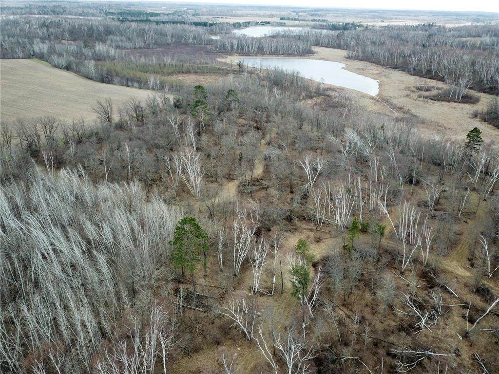 TBD Boot Lake Rd SW Grant Valley Twp MN 56601 7071405 image11