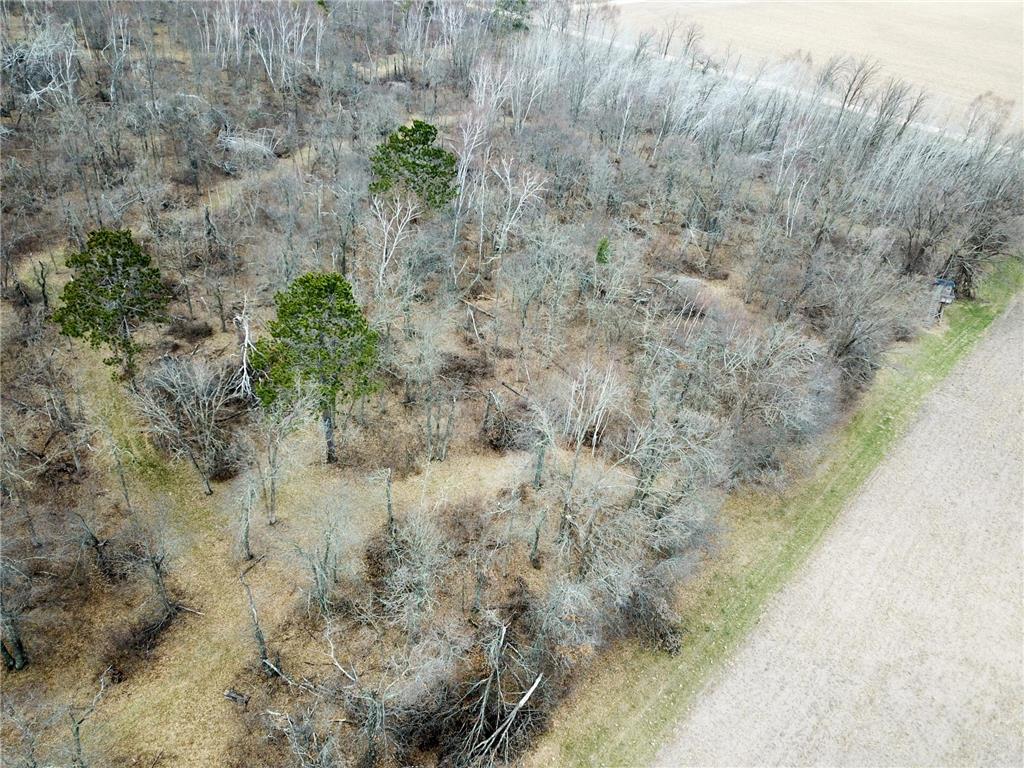 TBD Boot Lake Rd SW Grant Valley Twp MN 56601 7071405 image19