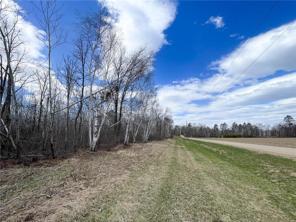 TBD Boot Lake Rd SW Grant Valley Twp MN 56601 7071405 image21