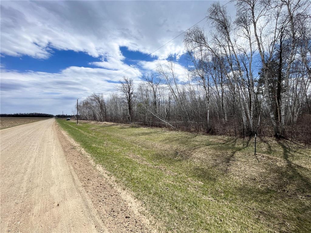 TBD Boot Lake Rd SW Grant Valley Twp MN 56601 7071405 image22