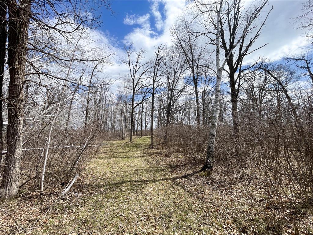 TBD Boot Lake Rd SW Grant Valley Twp MN 56601 7071405 image24