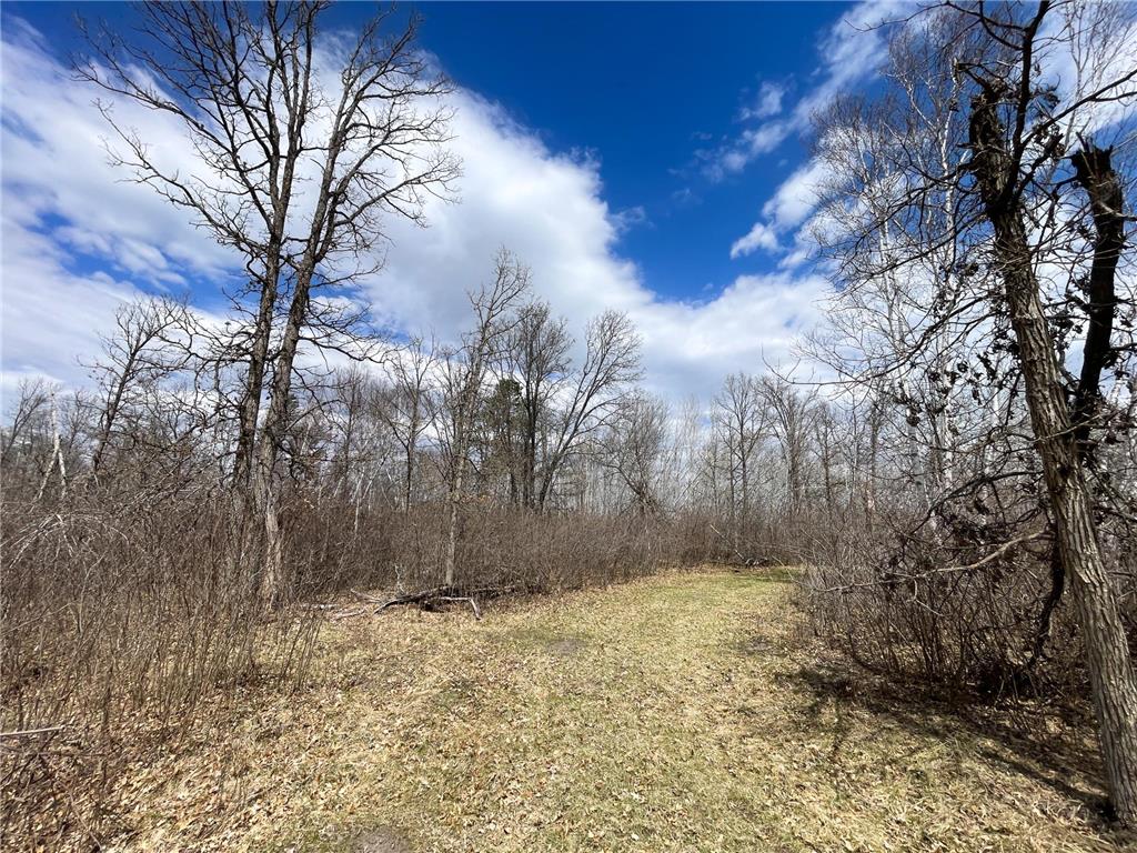 TBD Boot Lake Rd SW Grant Valley Twp MN 56601 7071405 image25