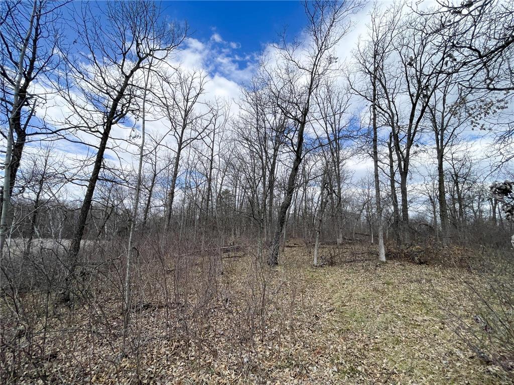 TBD Boot Lake Rd SW Grant Valley Twp MN 56601 7071405 image26
