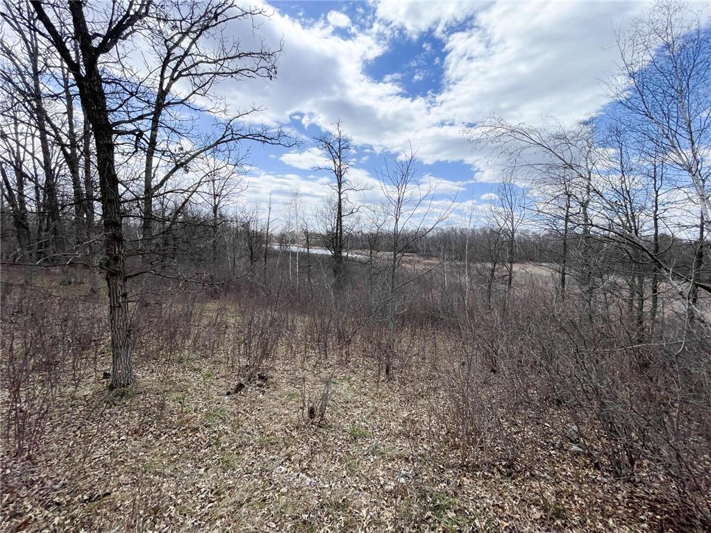 TBD Boot Lake Rd SW Grant Valley Twp MN 56601 7071405 image27
