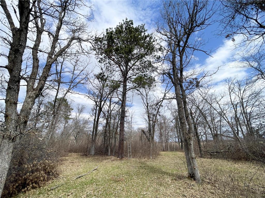 TBD Boot Lake Rd SW Grant Valley Twp MN 56601 7071405 image28