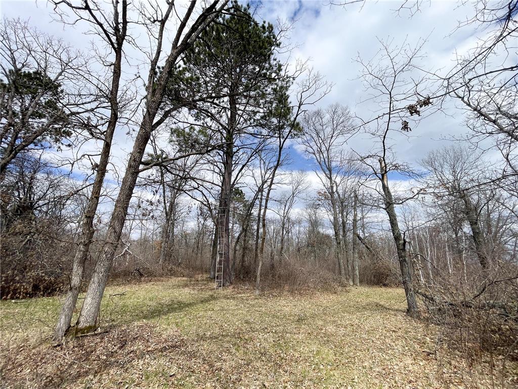TBD Boot Lake Rd SW Grant Valley Twp MN 56601 7071405 image29