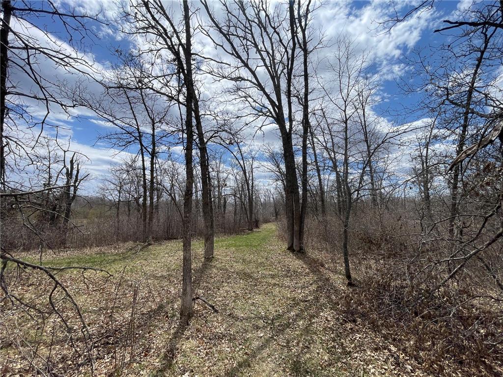 TBD Boot Lake Rd SW Grant Valley Twp MN 56601 7071405 image30