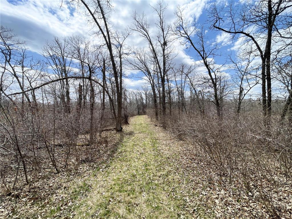 TBD Boot Lake Rd SW Grant Valley Twp MN 56601 7071405 image31