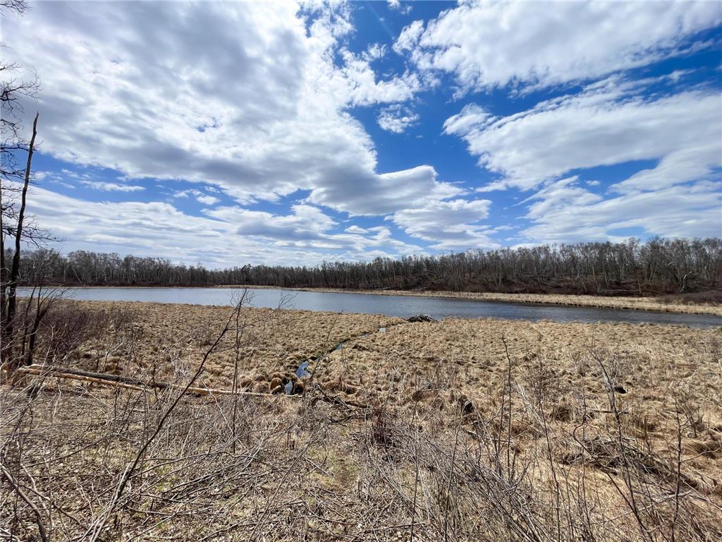 TBD Boot Lake Rd SW Grant Valley Twp MN 56601 7071405 image32