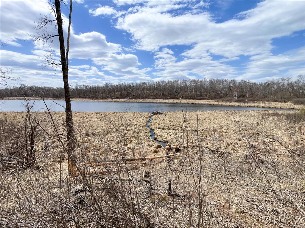 TBD Boot Lake Rd SW Grant Valley Twp MN 56601 7071405 image33