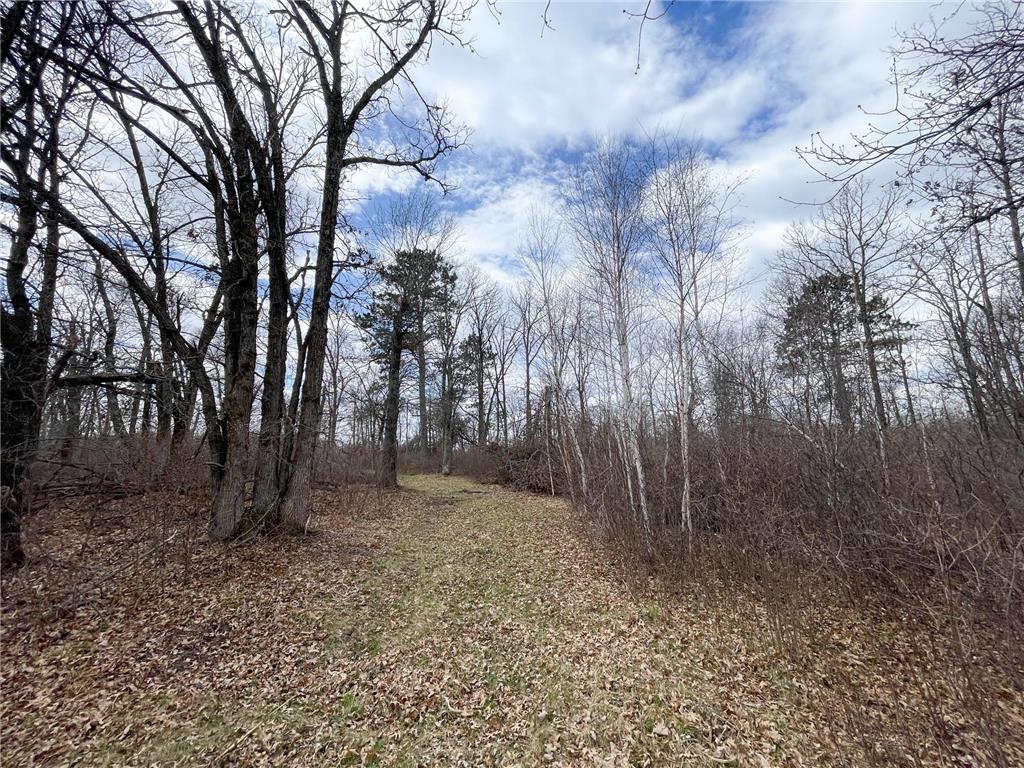 TBD Boot Lake Rd SW Grant Valley Twp MN 56601 7071405 image34