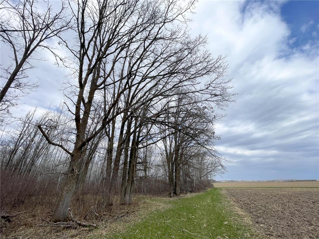 TBD Boot Lake Rd SW Grant Valley Twp MN 56601 7071405 image36