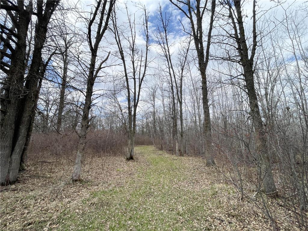 TBD Boot Lake Rd SW Grant Valley Twp MN 56601 7071405 image37