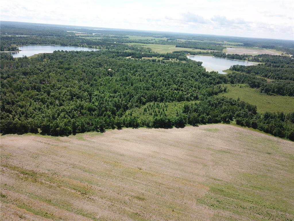 TBD Boot Lake Road SW Grant Valley Twp MN 56601 7105987 image11
