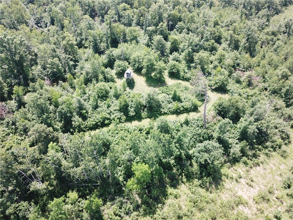 TBD Boot Lake Road SW Grant Valley Twp MN 56601 7105987 image15