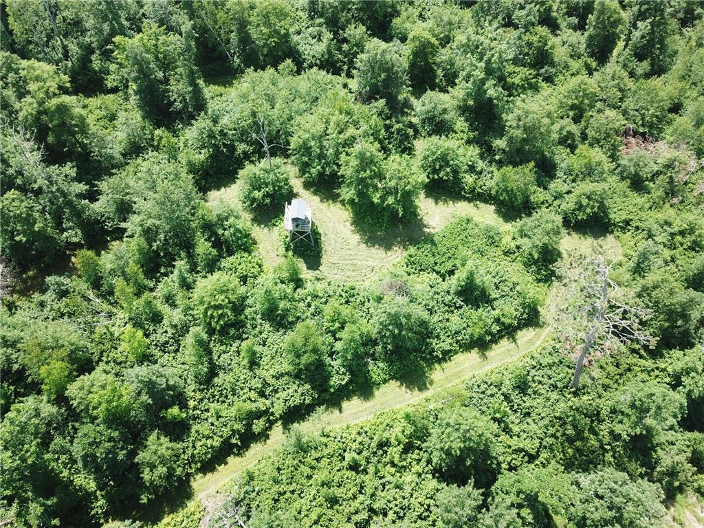 TBD Boot Lake Road SW Grant Valley Twp MN 56601 7105987 image16