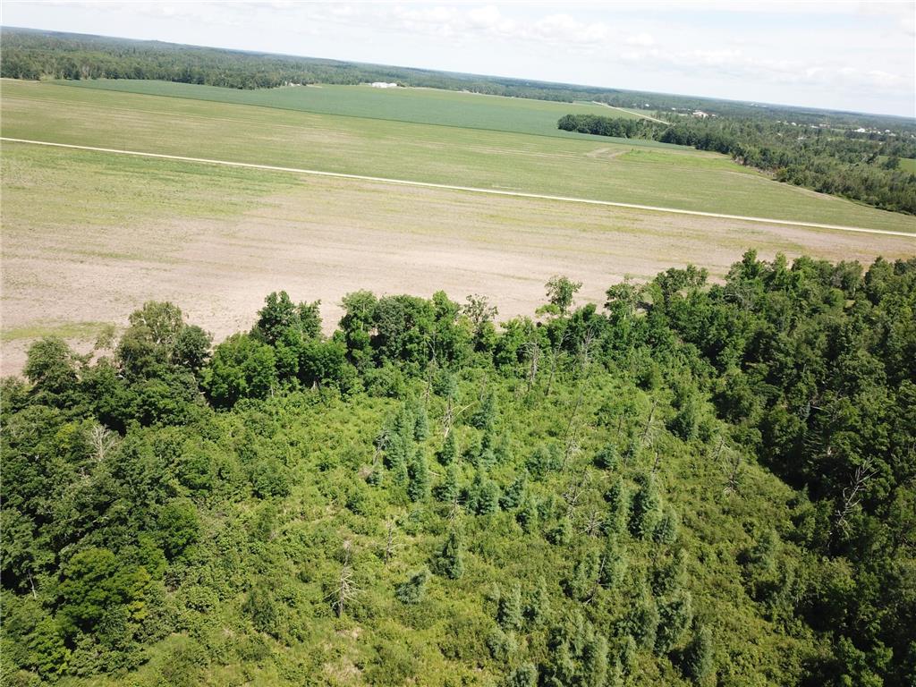 TBD Boot Lake Road SW Grant Valley Twp MN 56601 7105987 image17
