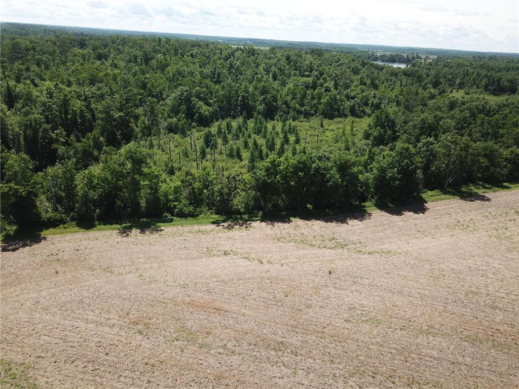 TBD Boot Lake Road SW Grant Valley Twp MN 56601 7105987 image18