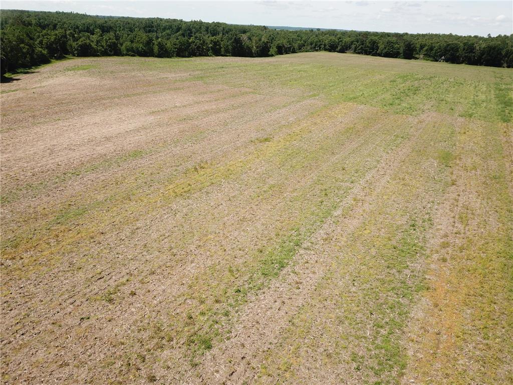 TBD Boot Lake Road SW Grant Valley Twp MN 56601 7105987 image19