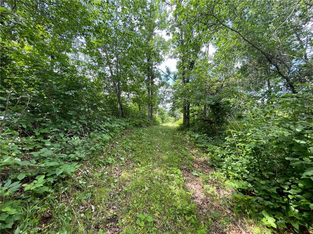 TBD Boot Lake Road SW Grant Valley Twp MN 56601 7105987 image20