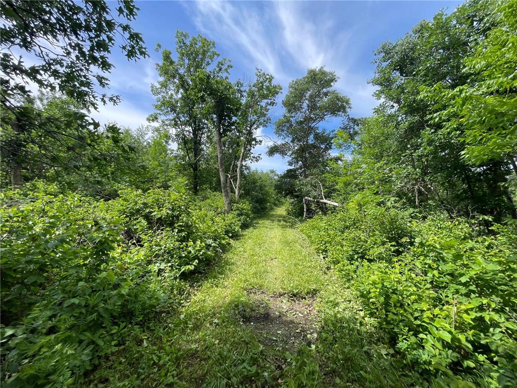 TBD Boot Lake Road SW Grant Valley Twp MN 56601 7105987 image21