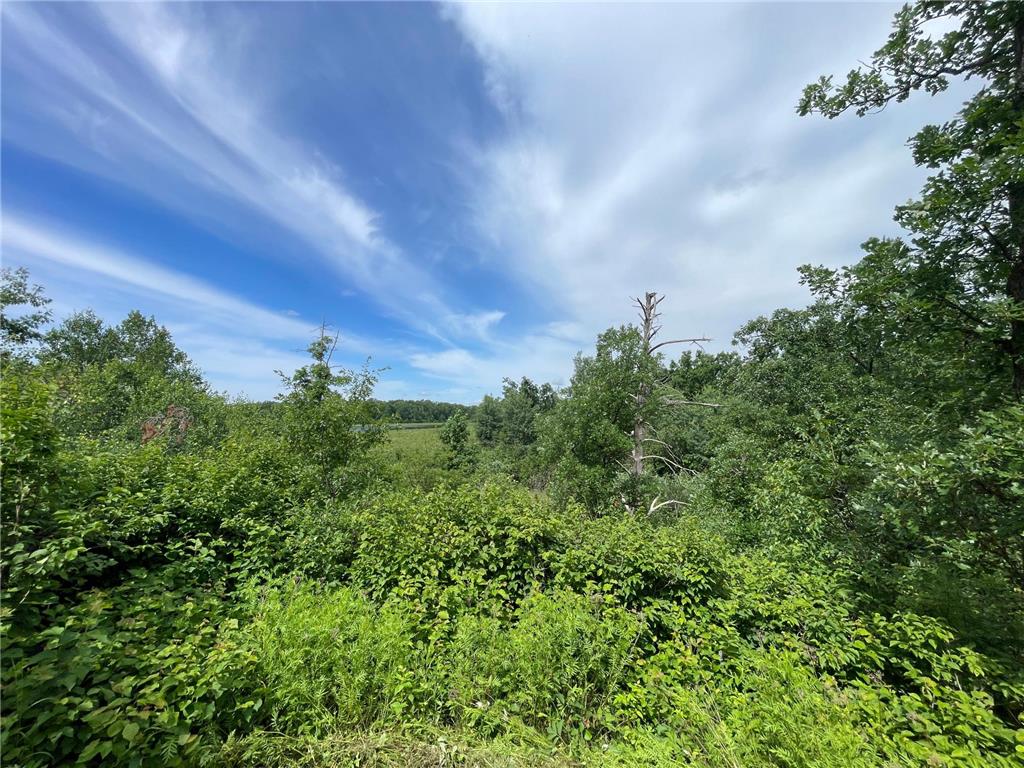 TBD Boot Lake Road SW Grant Valley Twp MN 56601 7105987 image22