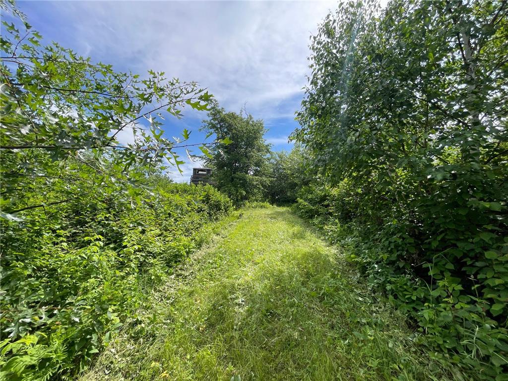 TBD Boot Lake Road SW Grant Valley Twp MN 56601 7105987 image23