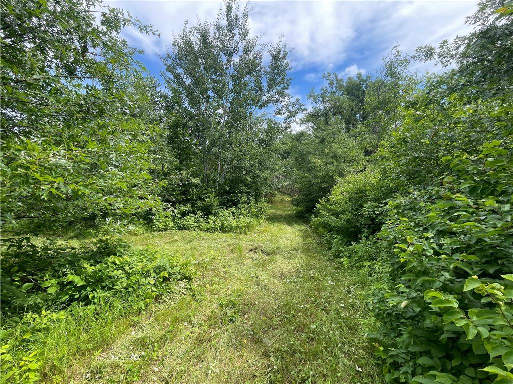 TBD Boot Lake Road SW Grant Valley Twp MN 56601 7105987 image26