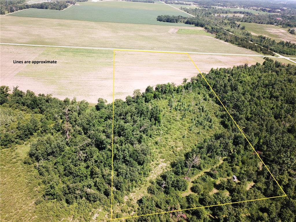 TBD Boot Lake Road SW Grant Valley Twp MN 56601 7105987 image3