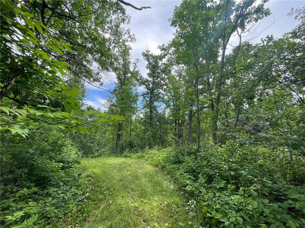 TBD Boot Lake Road SW Grant Valley Twp MN 56601 7105987 image32