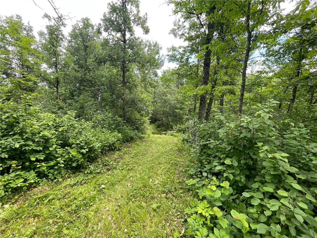TBD Boot Lake Road SW Grant Valley Twp MN 56601 7105987 image33
