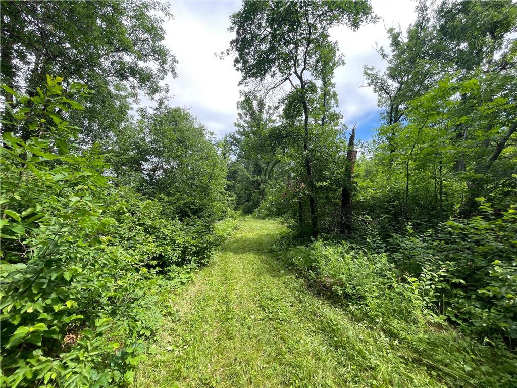 TBD Boot Lake Road SW Grant Valley Twp MN 56601 7105987 image34